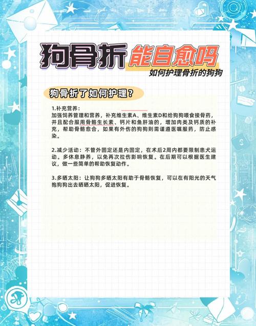 被狗主人殴打致骨折,狗被打骨折了怎么办